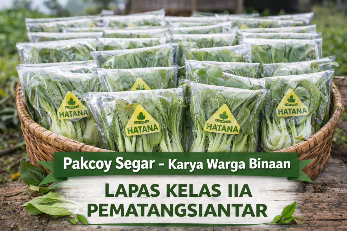 PAKCOY
